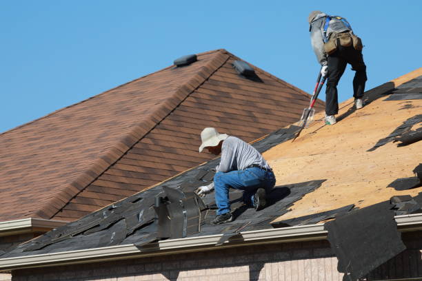 East Lake Orient Park, FL Roofing servicies Company